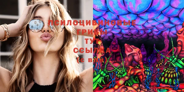 молекула духа Елизово