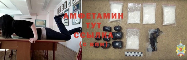 молекула духа Елизово
