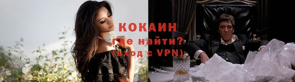 молекула духа Елизово