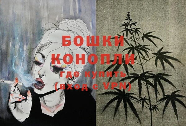 спайс Ельня