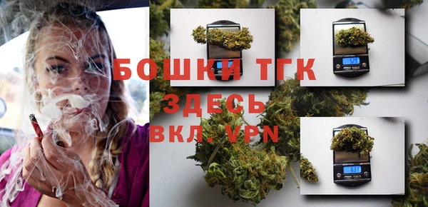 спайс Ельня