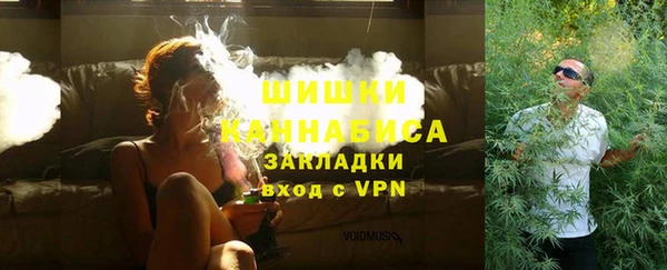 спайс Ельня